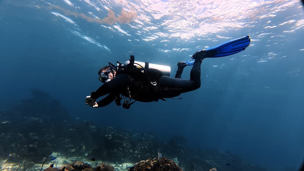 Catalina Island — The site