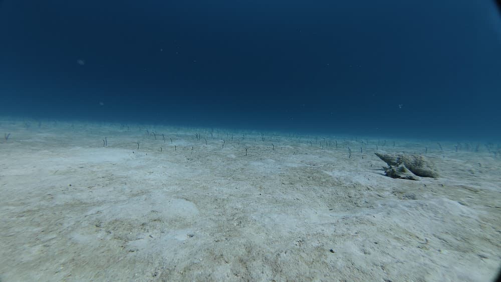 dji_mimo_20261013_103510_20261013103510_1792016928710_photo.jpg