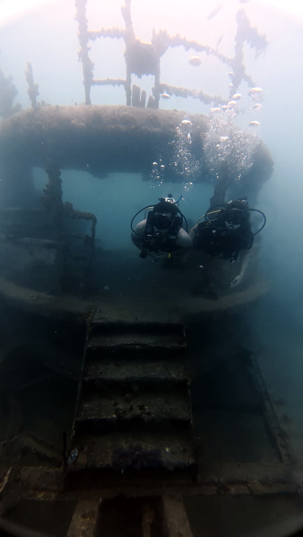 Atlantic Princess — The site