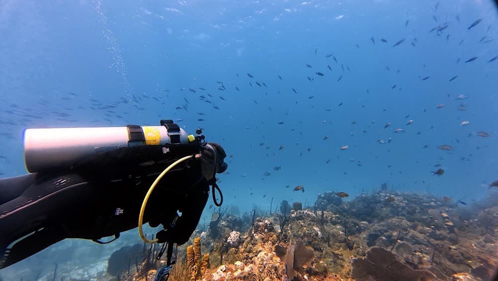 Catalina Island — The site
