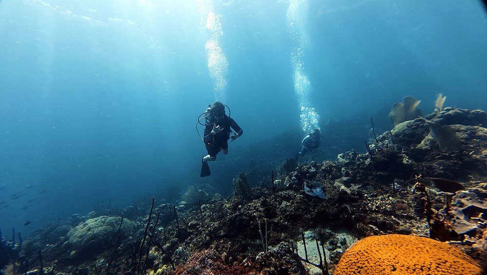 Catalina Island — The site