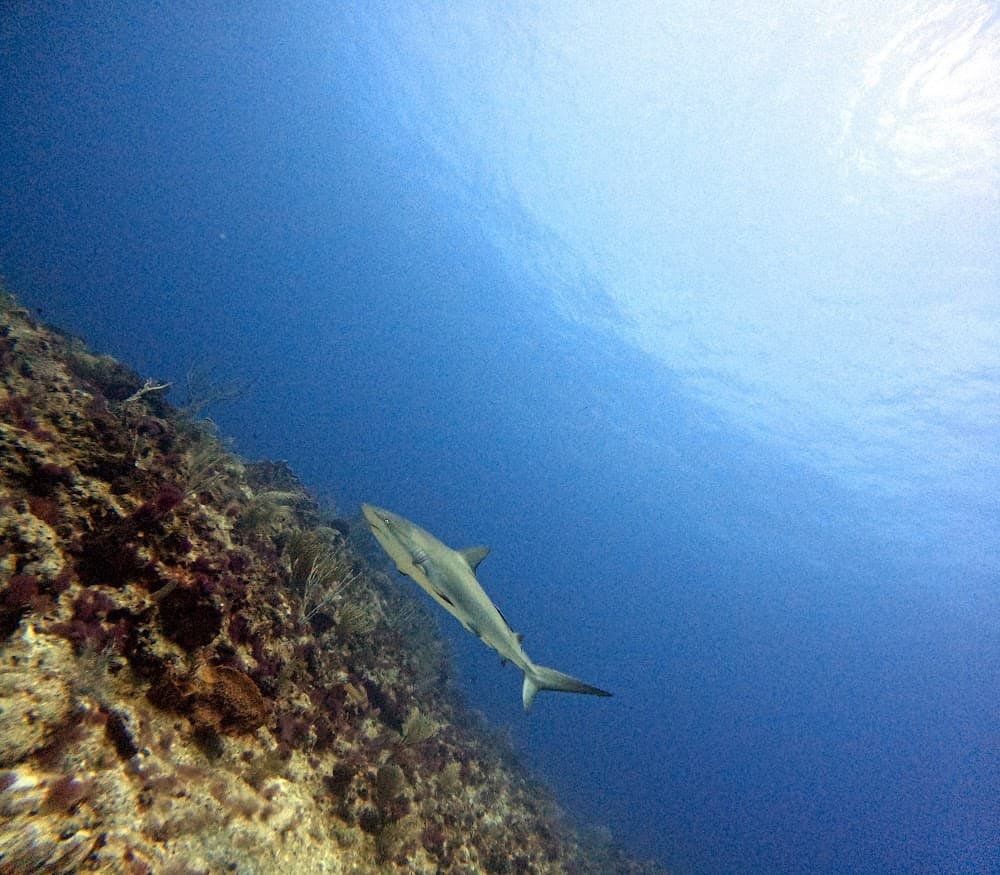 IMG_4845.JPG