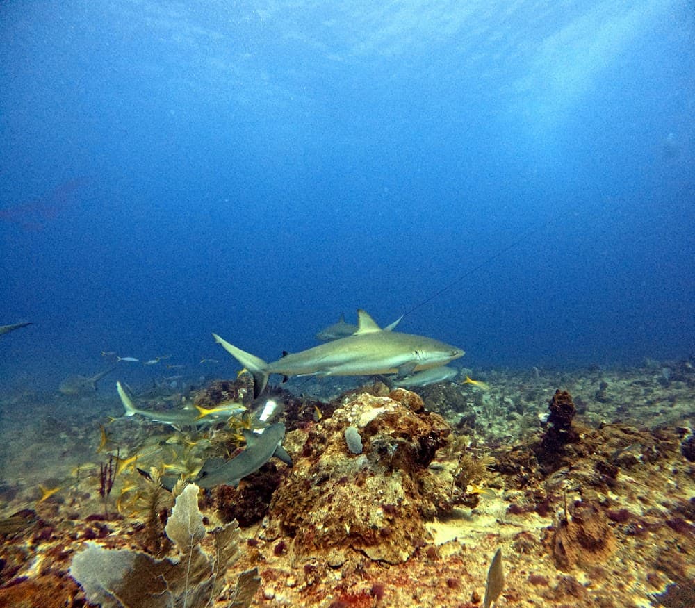 IMG_4840.JPG