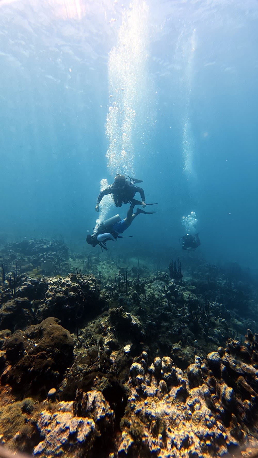 Catalina Island — The site