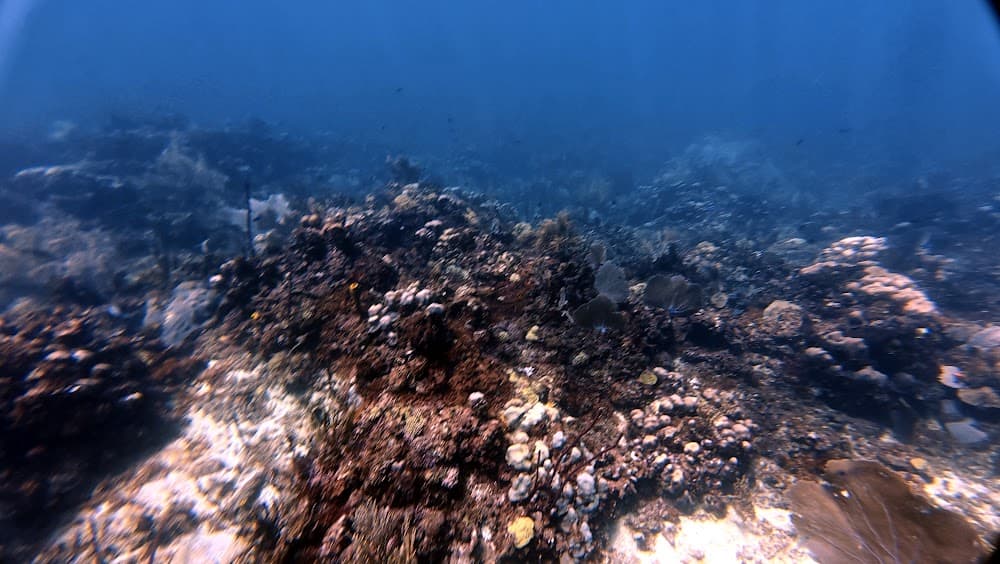 Catalina Island — The site