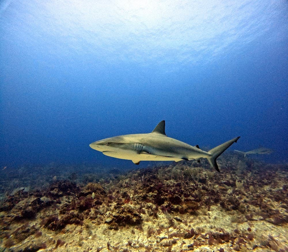 IMG_4839.JPG