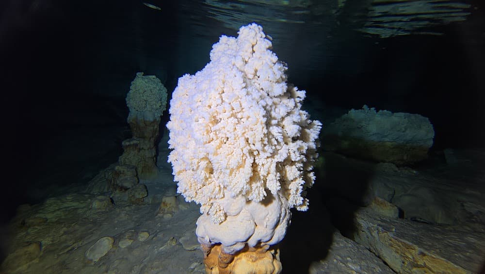 Taína cave — The site