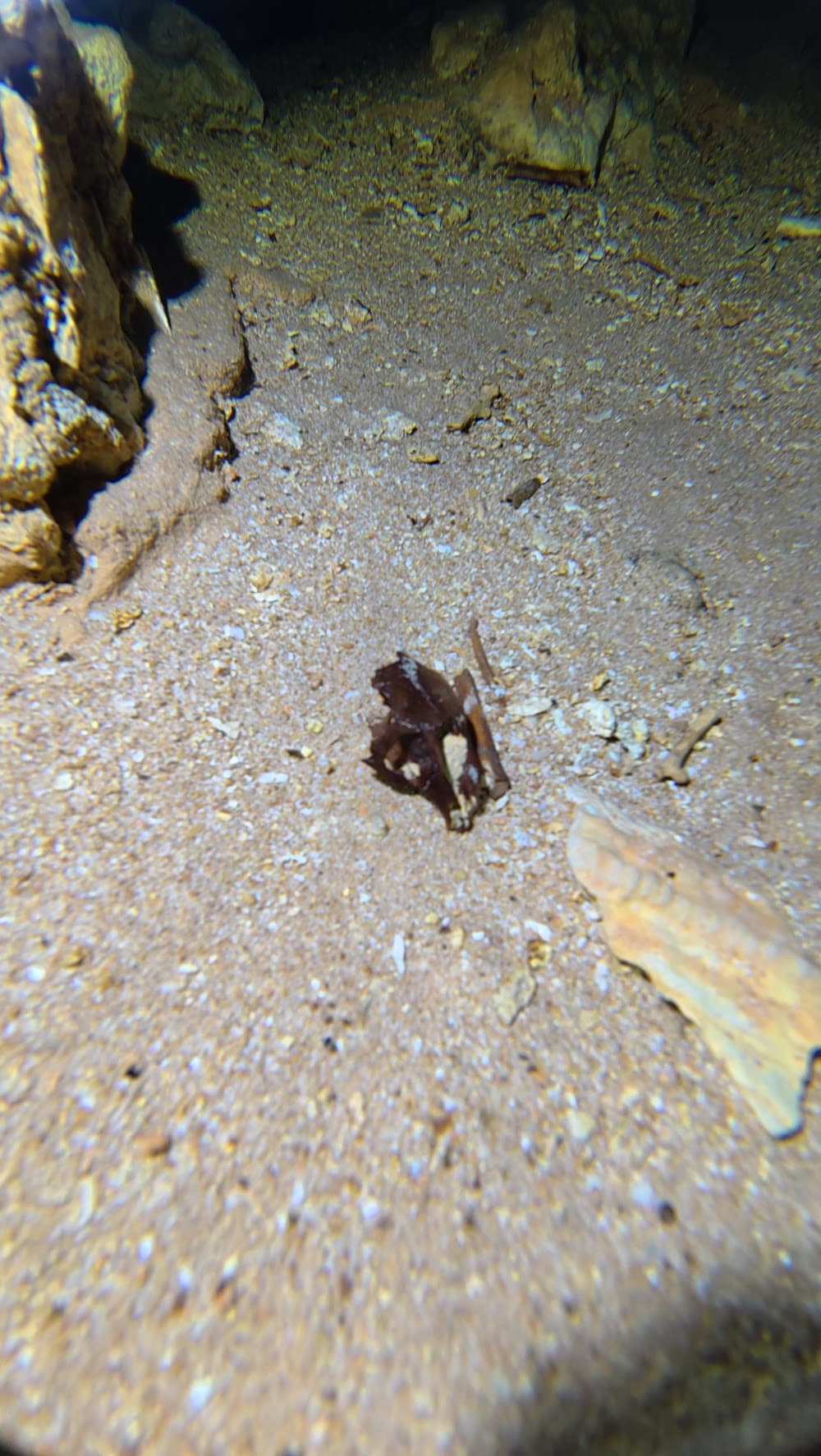 dji_mimo_20261014_140716_20261014140717_1792016930651_photo.jpg