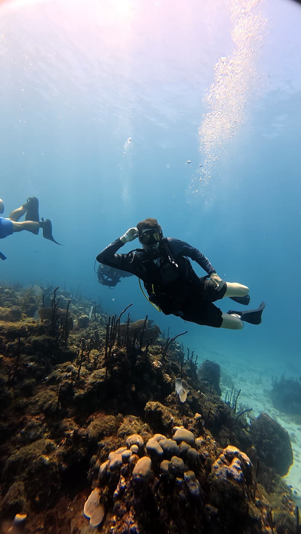 Catalina Island — The site