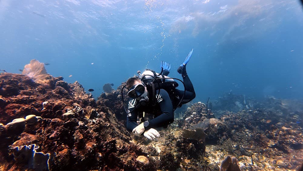 Catalina Island — The site