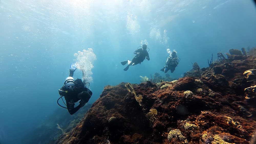 Catalina Island — The site