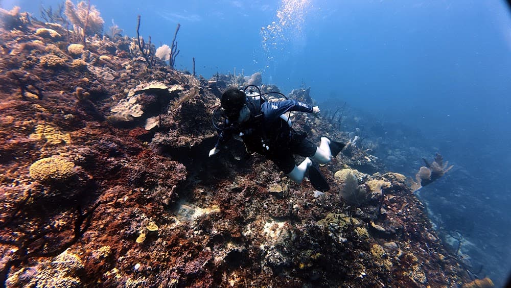 Catalina Island — The site