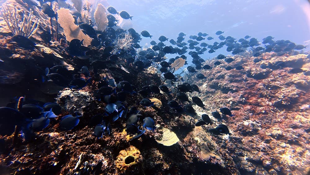 IMG_0720.JPG