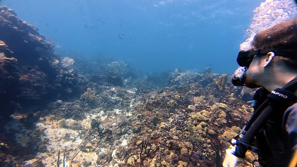Catalina Island — The site