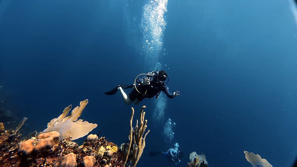 Catalina Island — The site