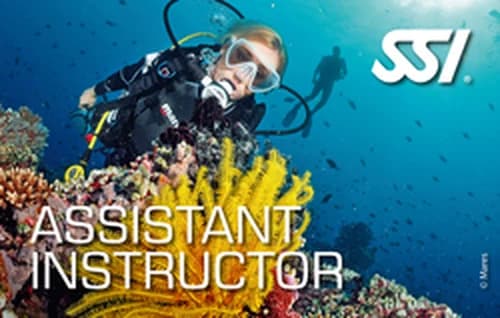 Assistant Instructor · SSI