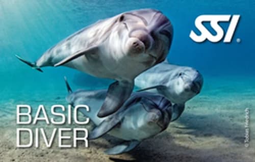Basic Diver · SSI