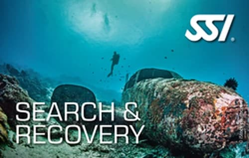Search and Recovery · SSI