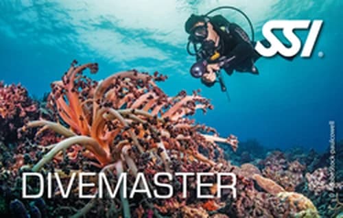 Divemaster · SSI