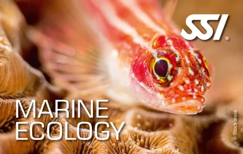 Marine Ecology · SSI