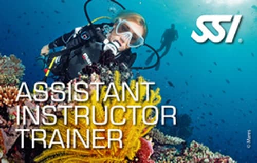 Assistant Instructor Trainer · SSI