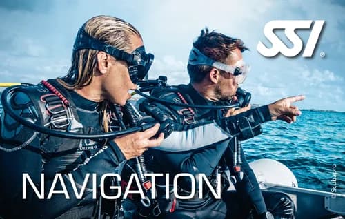 Navigation · SSI