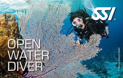 Open Water Diver · SSI