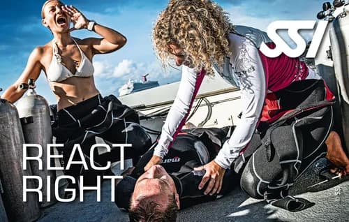 React Right · SSI