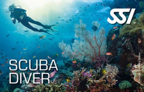 Scuba Diver · SSI