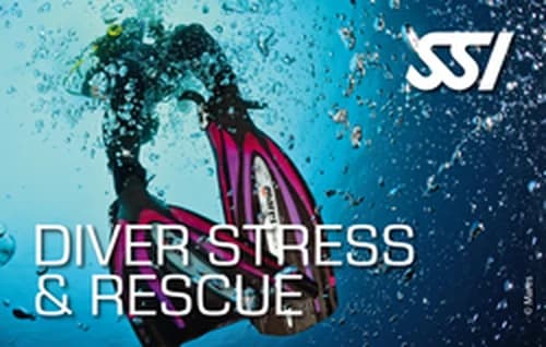 Stress and Rescue · SSI