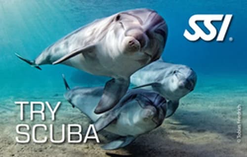 Try Scuba · SSI