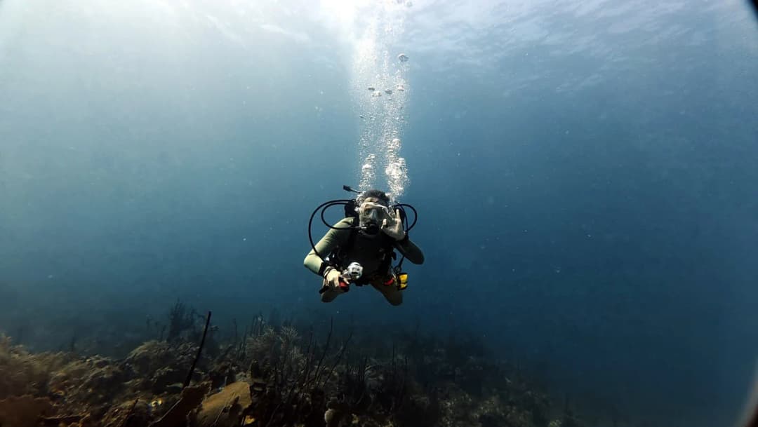 A diver ascending in a trail of bubbles