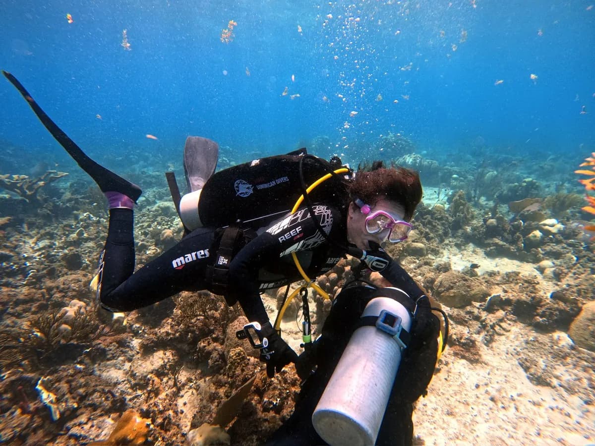 A guided dive in Bayahibe
