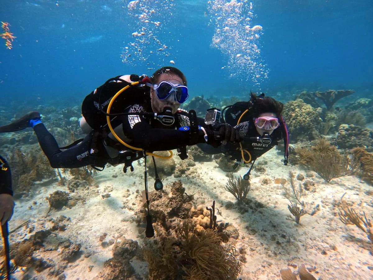 Divers face to face on the reef