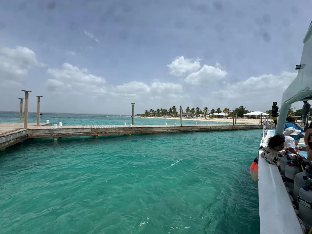 Arriving at Catalina Island: the jetty and the palm beach