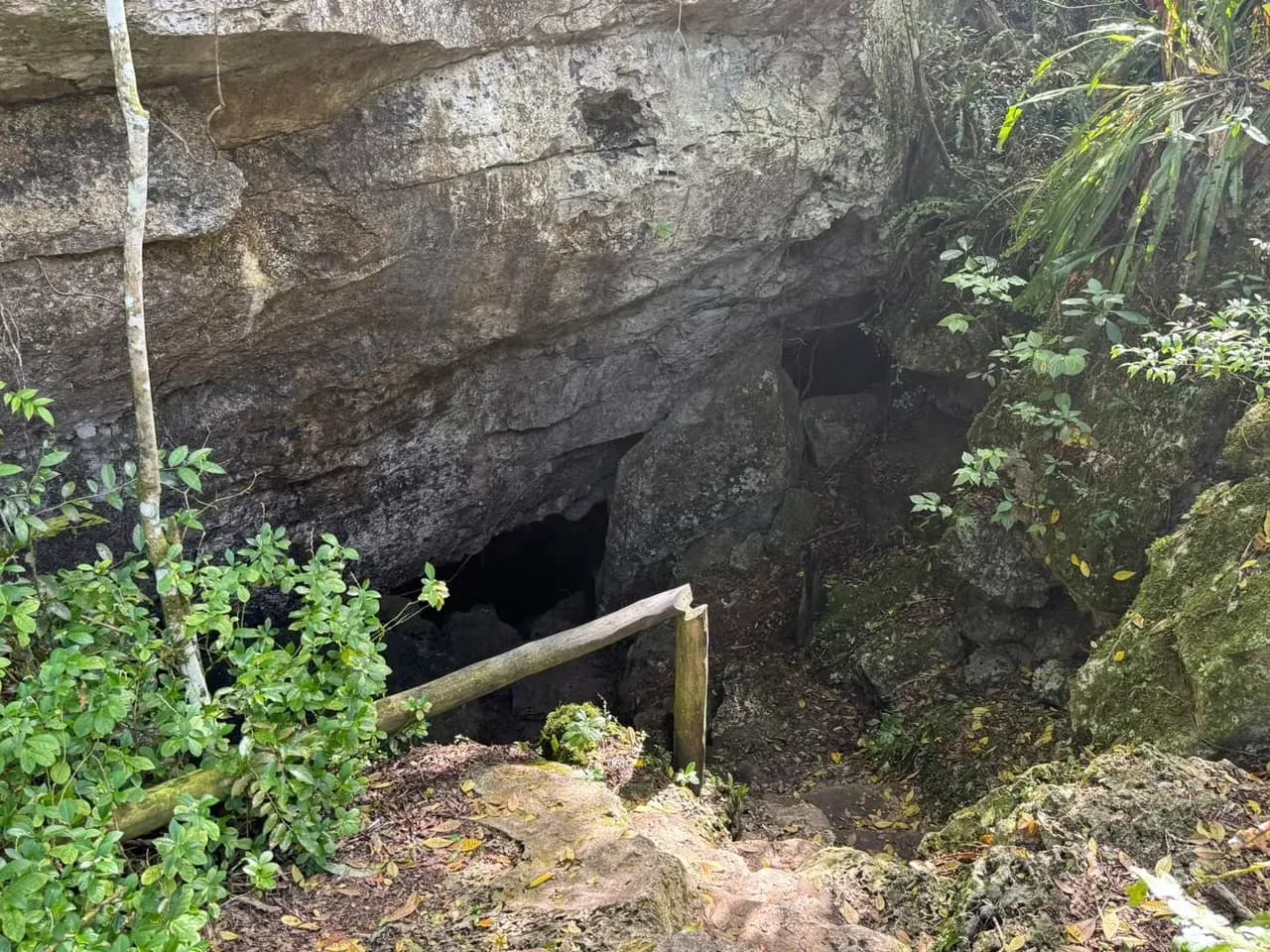 The mouth of the cave, opening in the rock