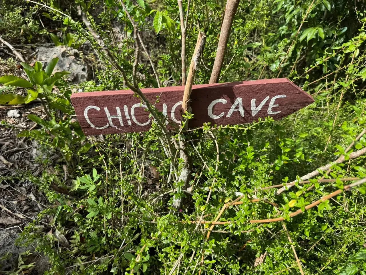 The sign at the mouth of Chicho Cave