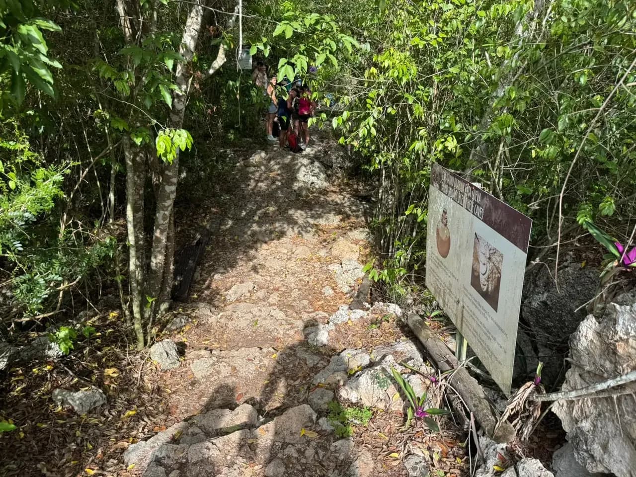 The path in to El Chicho, through the forest