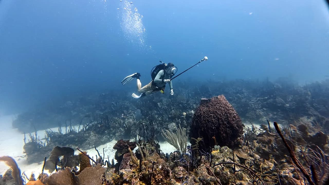 A diver over the Círculo reef