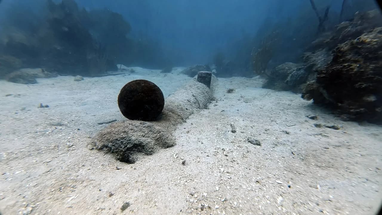 A sea urchin resting on the sand