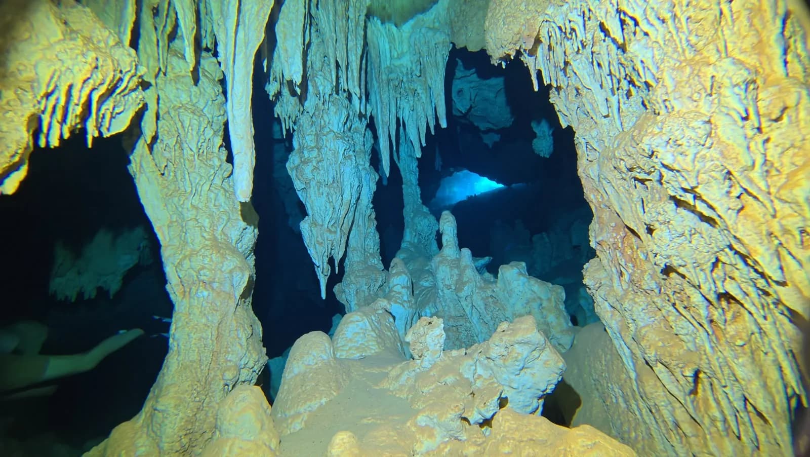 A diver among the formations