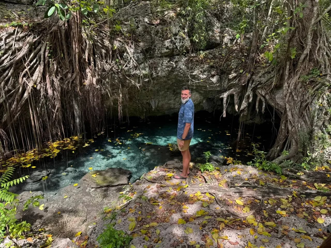 The entrance to Padre Nuestro, under hanging roots