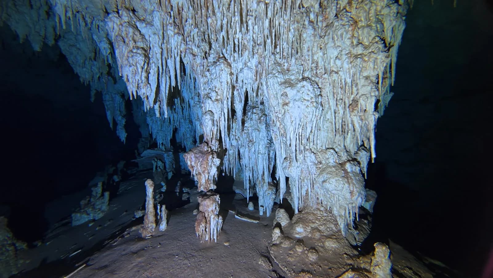 The main chamber of the system