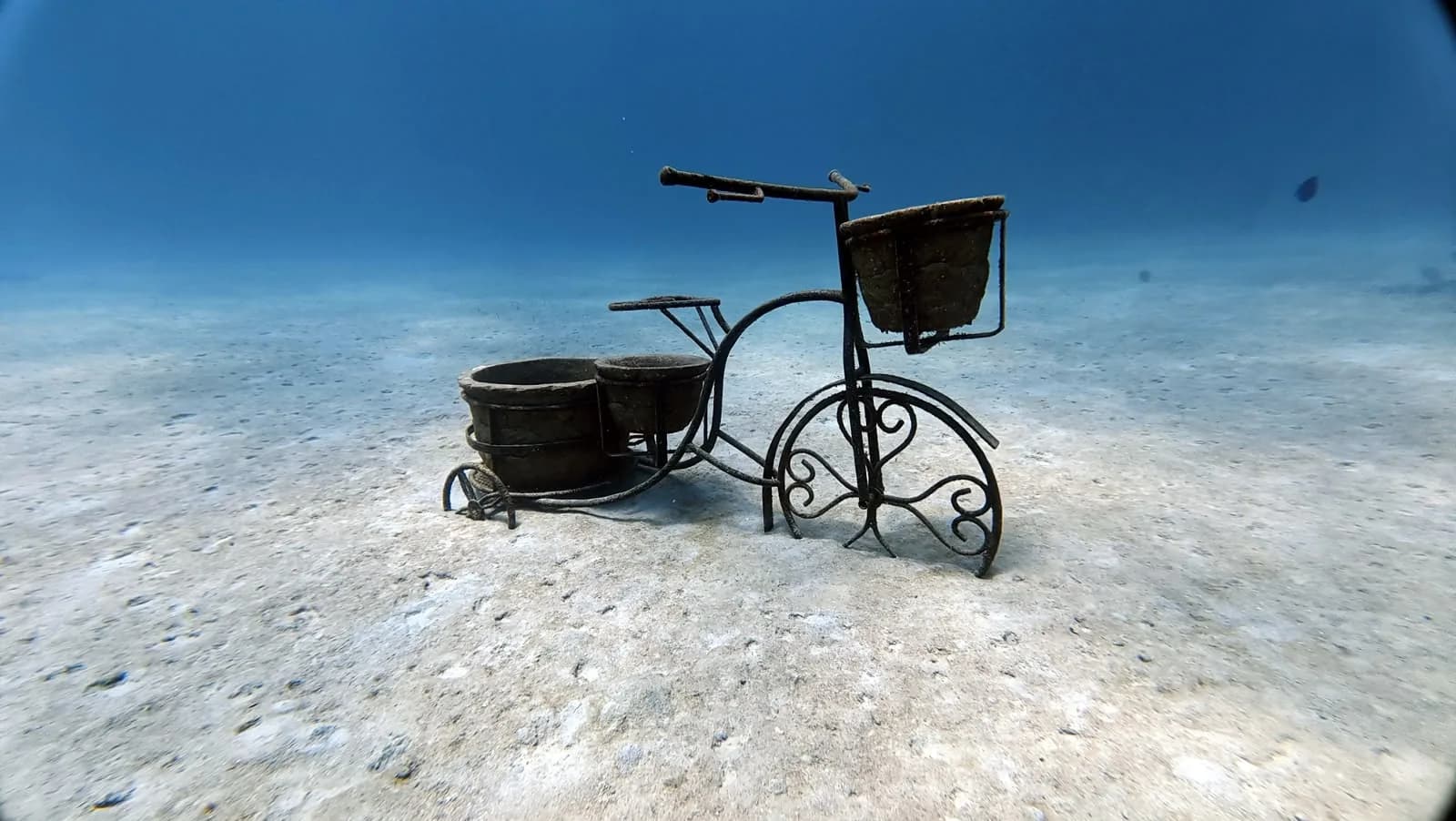 A bicycle standing on the seabed