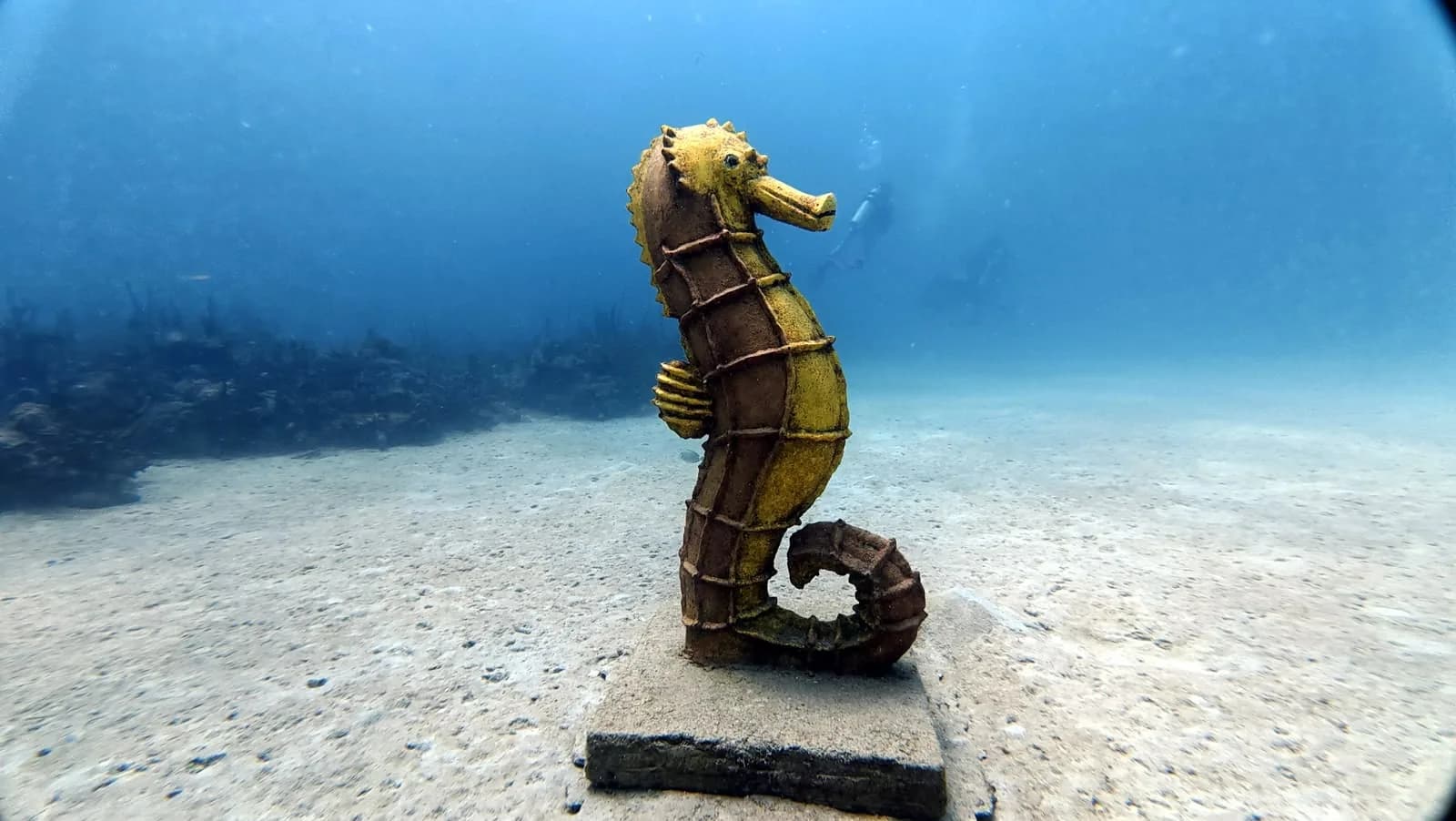 The seahorse sculpture