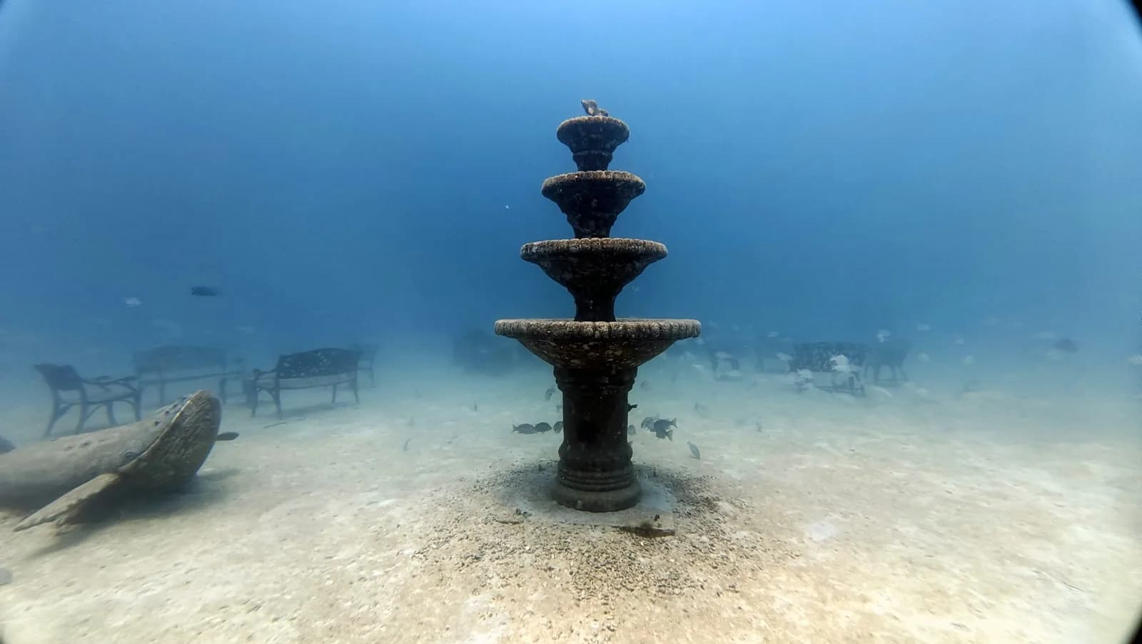 The fountain in the underwater park