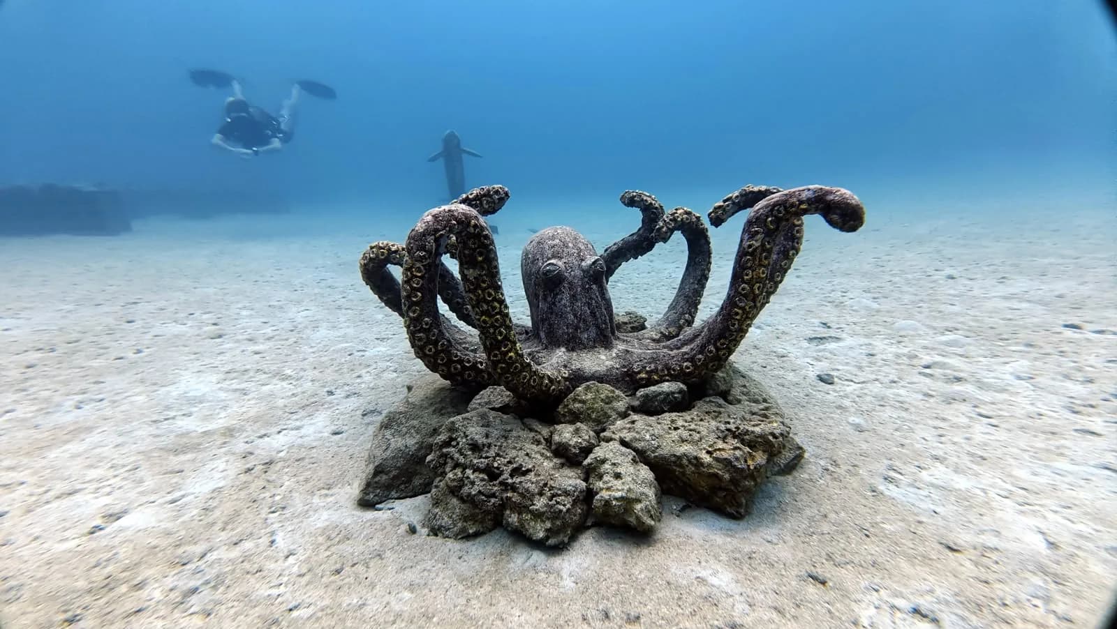 The octopus sculpture