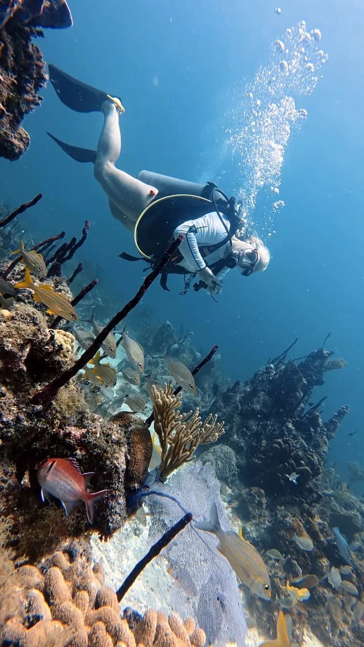 A diver descending onto the Atlantic Princess