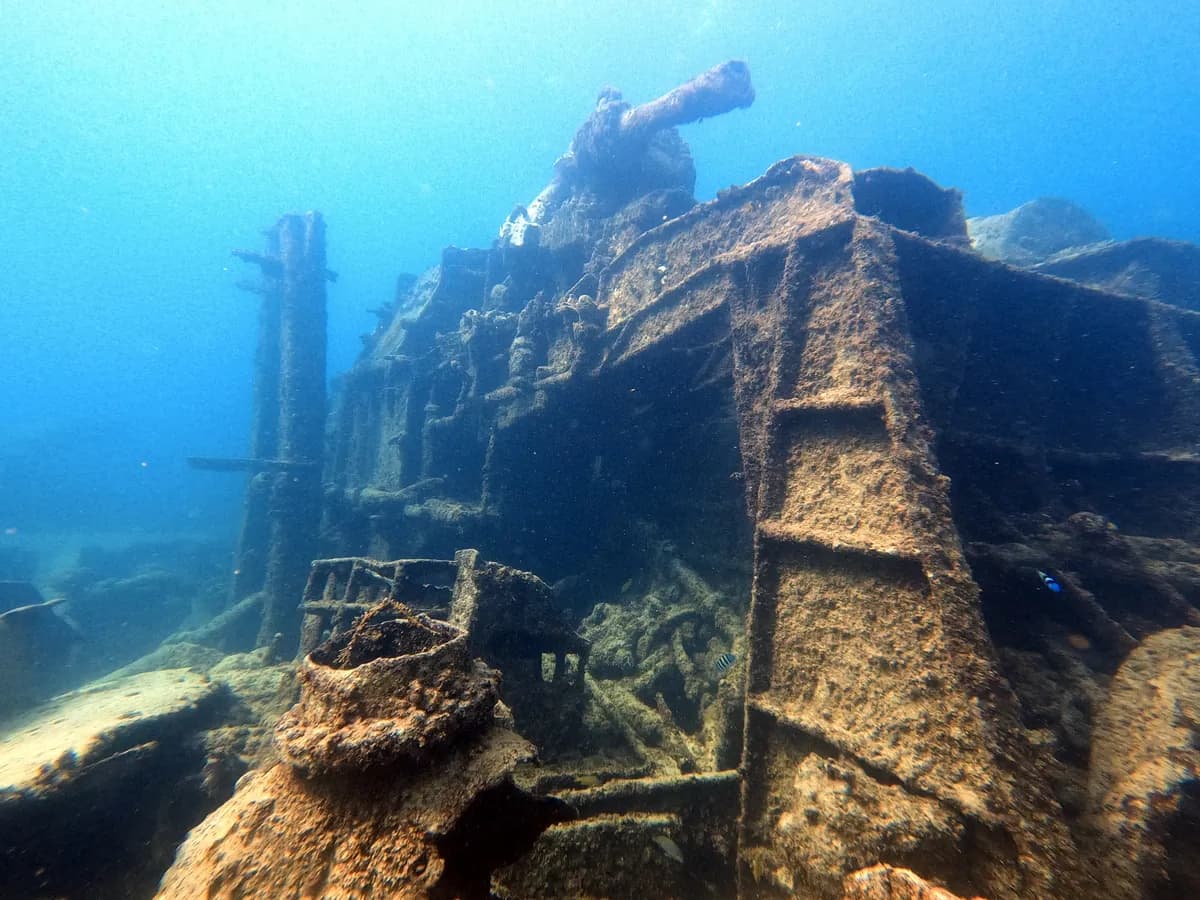 Structure of a wreck covered in coral