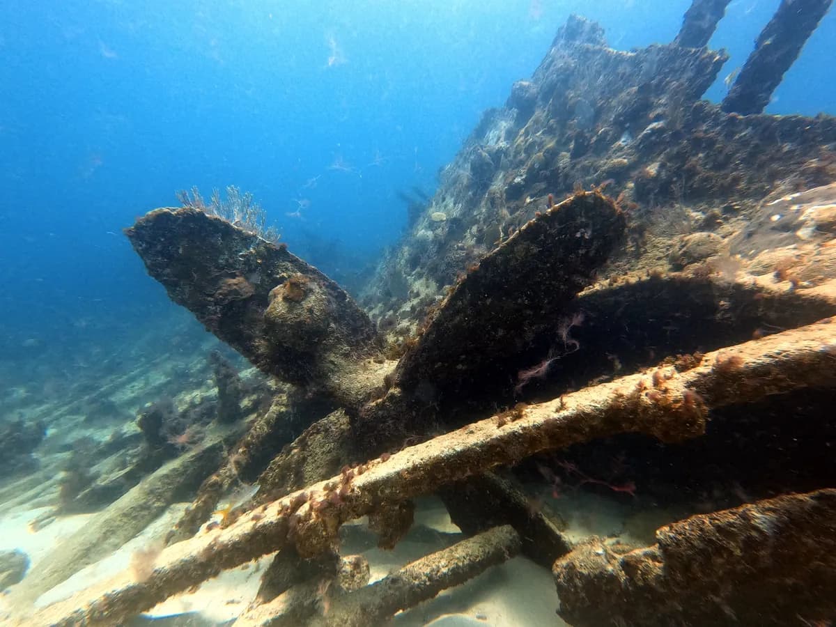 Propeller of a sunken ship